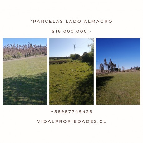 Parcelas 5000 metros cuadrados a 40 km de Temuco